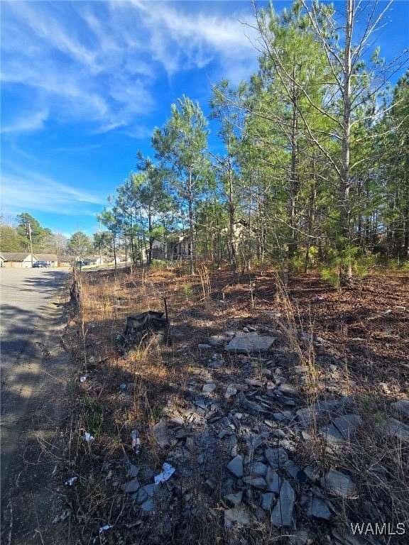 0.33 Acres of Residential Land for Sale in Fosters, Alabama