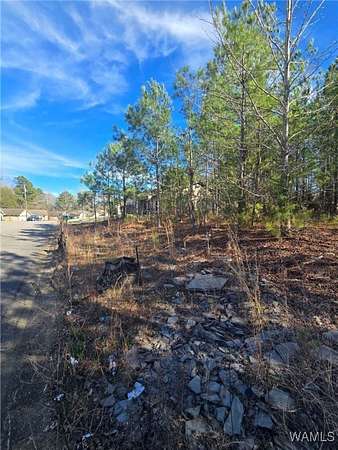 0.33 Acres of Residential Land for Sale in Fosters, Alabama