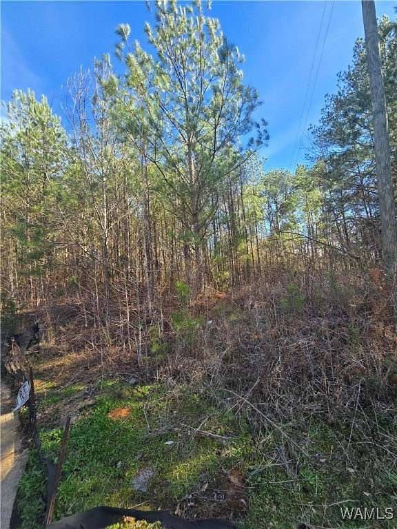 0.3 Acres of Residential Land for Sale in Ralph, Alabama