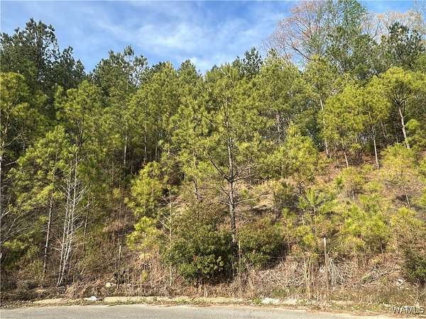 1.7 Acres of Residential Land for Sale in Brookwood, Alabama