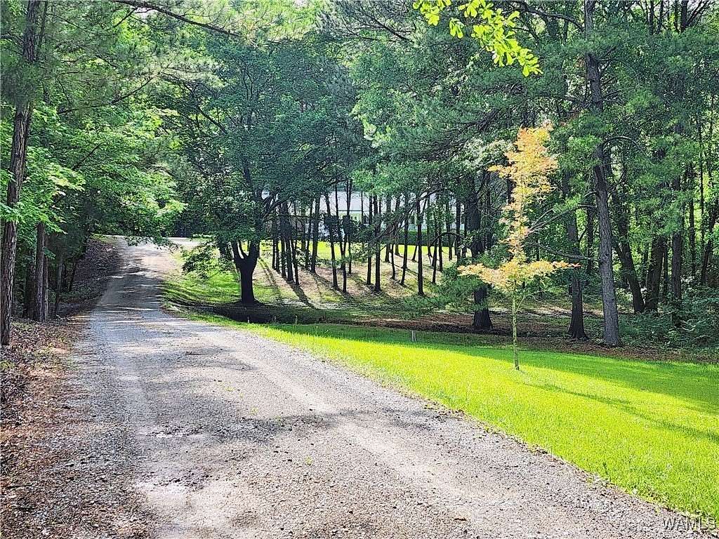 6.26 Acres of Residential Land with Home for Sale in Coaling, Alabama