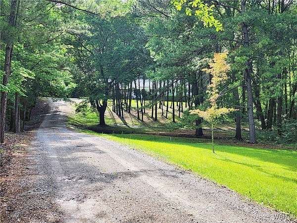 6.26 Acres of Residential Land with Home for Sale in Coaling, Alabama