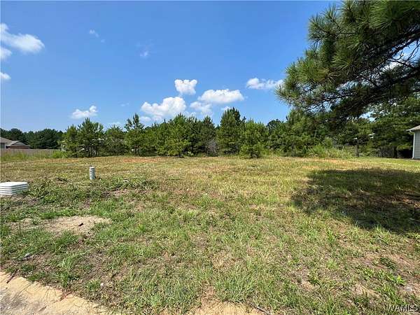 0.26 Acres of Residential Land for Sale in Brookwood, Alabama