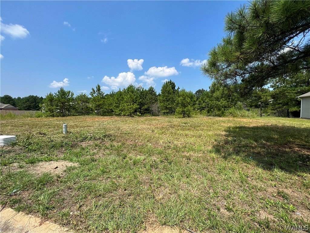 0.14 Acres of Residential Land for Sale in Brookwood, Alabama