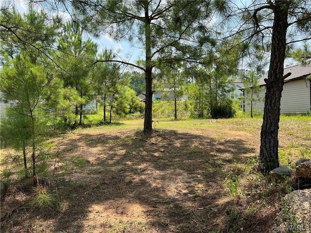 0.15 Acres of Land for Sale in Brookwood, Alabama