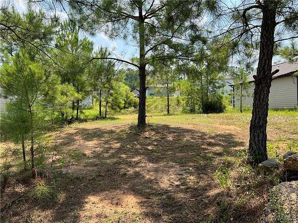 0.15 Acres of Land for Sale in Brookwood, Alabama