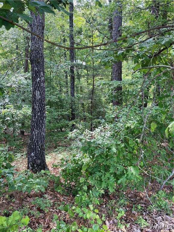 0.45 Acres of Residential Land for Sale in Lake View, Alabama