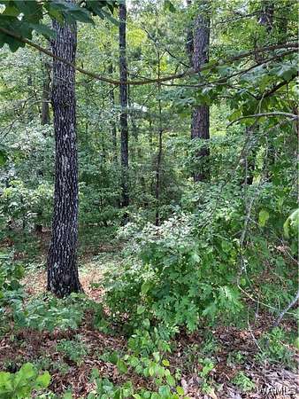 0.45 Acres of Residential Land for Sale in Lake View, Alabama