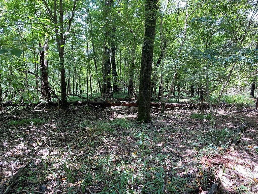2.49 Acres of Residential Land for Sale in Tuscaloosa, Alabama
