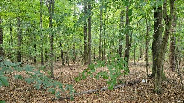 0.42 Acres of Land for Sale in Tuscaloosa, Alabama