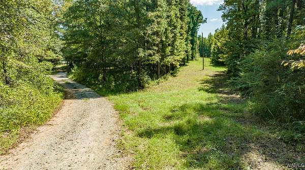 82 Acres of Recreational Land for Sale in Duncanville, Alabama