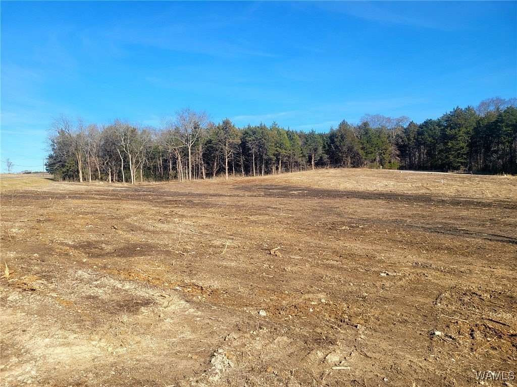Residential Land for Sale in Livingston, Alabama
