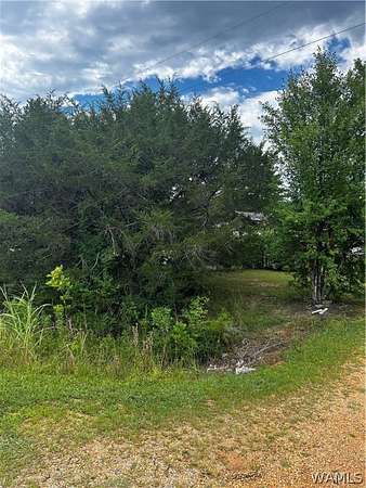 7.7 Acres of Residential Land for Sale in Sawyerville, Alabama