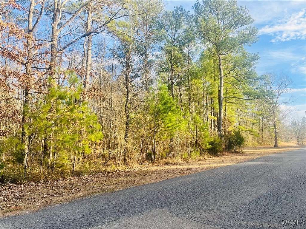 4 Acres of Residential Land for Sale in Akron, Alabama
