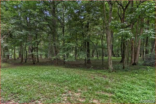 3 Acres of Residential Land for Sale in Moundville, Alabama