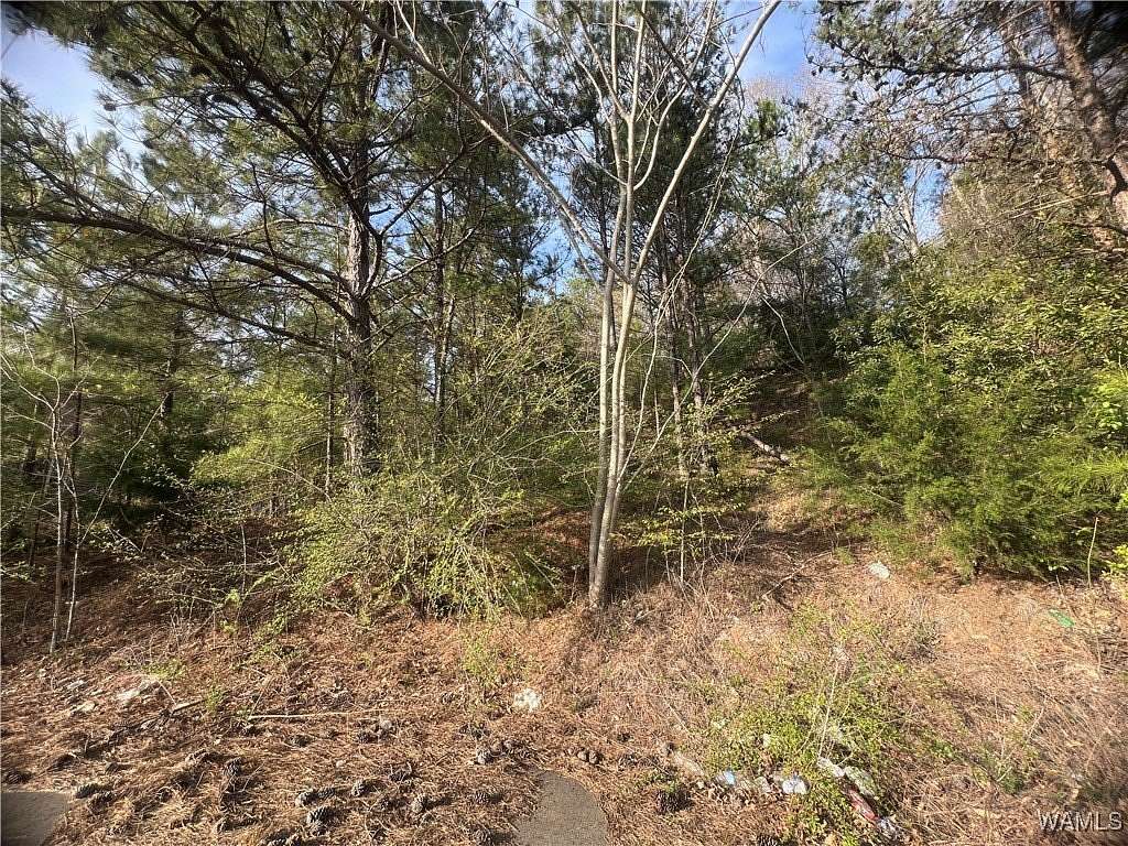 0.32 Acres of Residential Land for Sale in Brookwood, Alabama