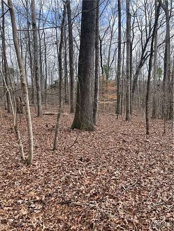 Land for Sale in Tuscaloosa, Alabama