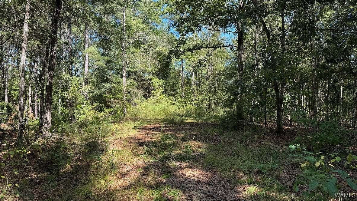 6 Acres of Land for Sale in West Blocton, Alabama