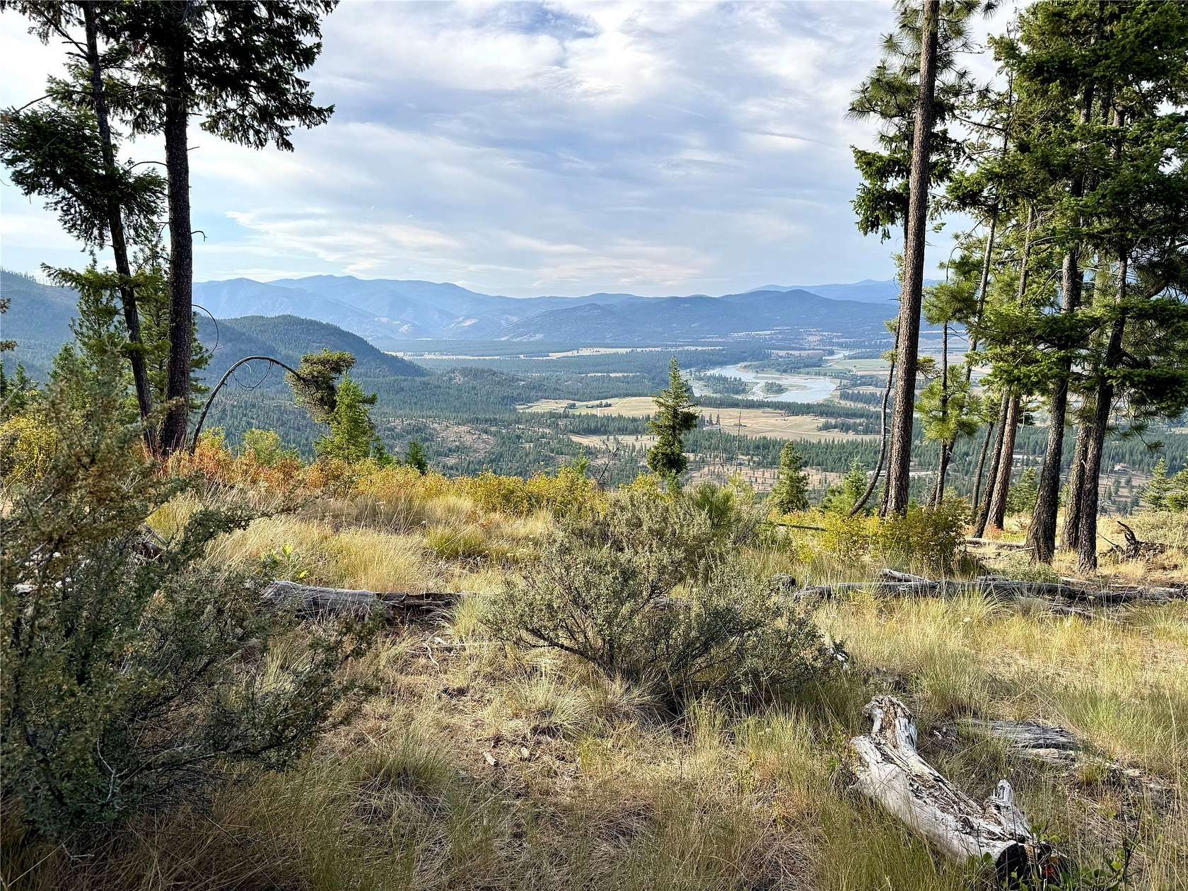 175 Acres of Recreational Land for Sale in Plains, Montana