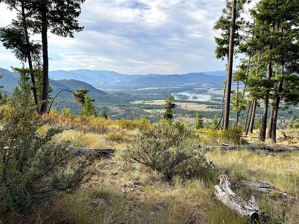 175 Acres of Recreational Land for Sale in Plains, Montana
