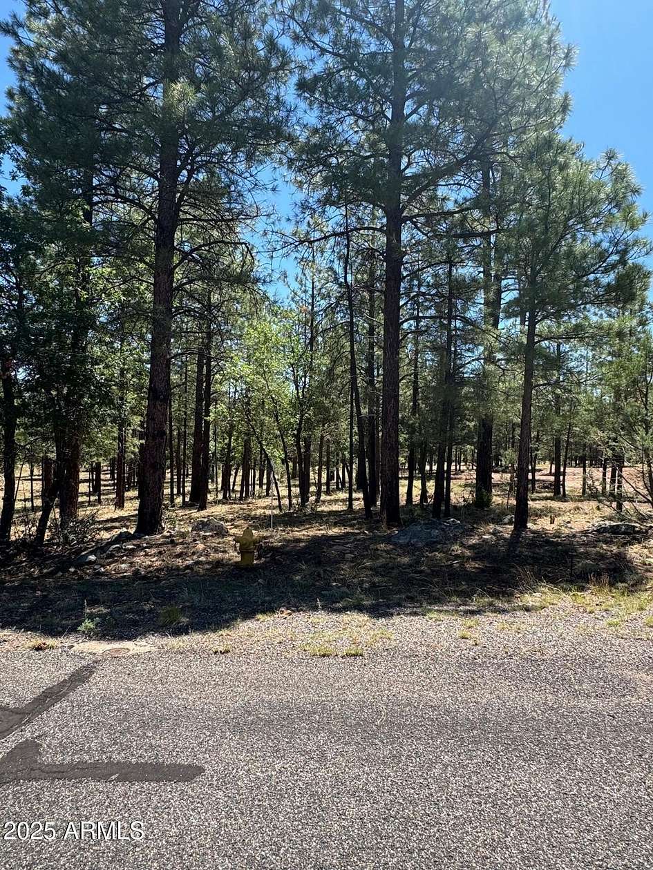 0.85 Acres of Residential Land for Sale in Happy Jack, Arizona