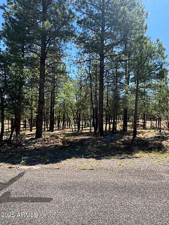 0.85 Acres of Residential Land for Sale in Happy Jack, Arizona