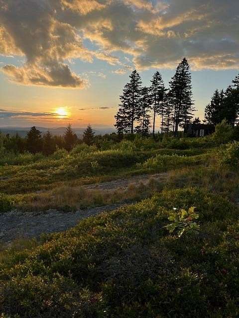 117 Acres of Land for Sale in Searsport, Maine