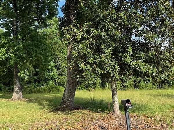 0.25 Acres of Residential Land for Sale in Springfield, Louisiana