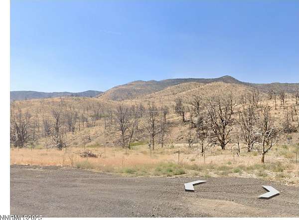 79.4 Acres of Land for Sale in Gardnerville, Nevada
