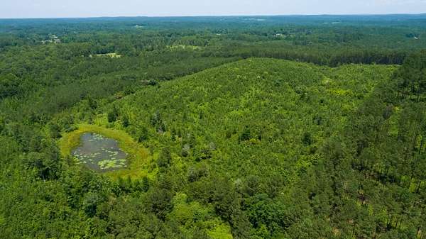 40 Acres of Recreational Land for Sale in Oakman, Alabama