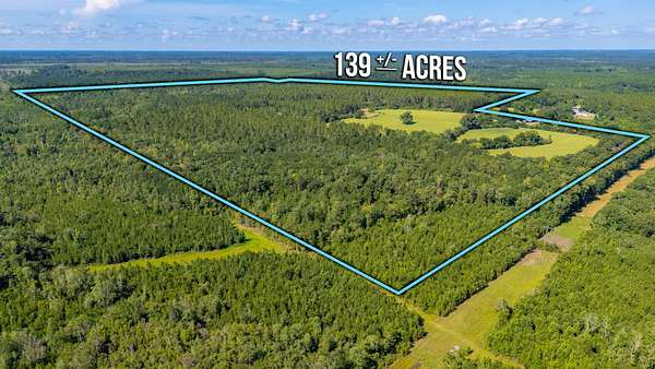 138 Acres of Land for Sale in Westville, Florida