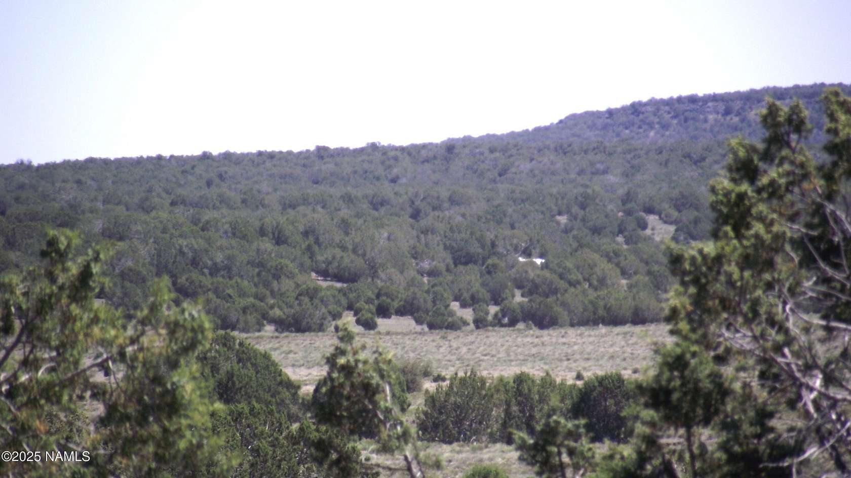 37.6 Acres of Recreational Land for Sale in Williams, Arizona