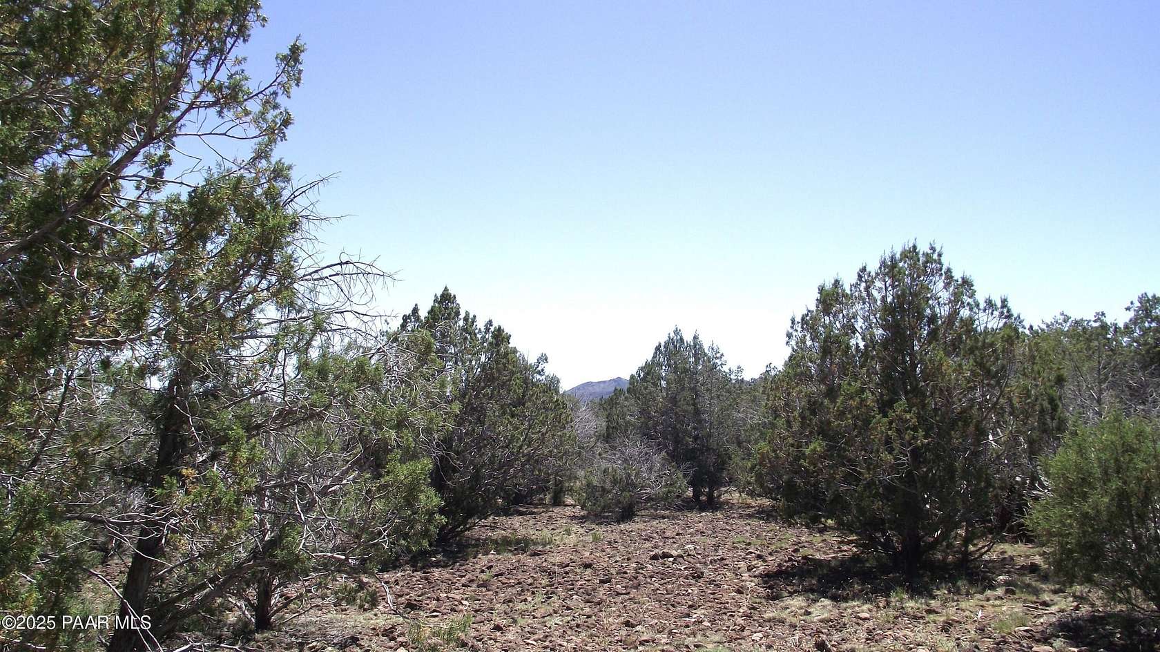 37.6 Acres of Recreational Land for Sale in Williams, Arizona