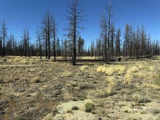 40 Acres of Recreational Land for Sale in Beatty, Oregon