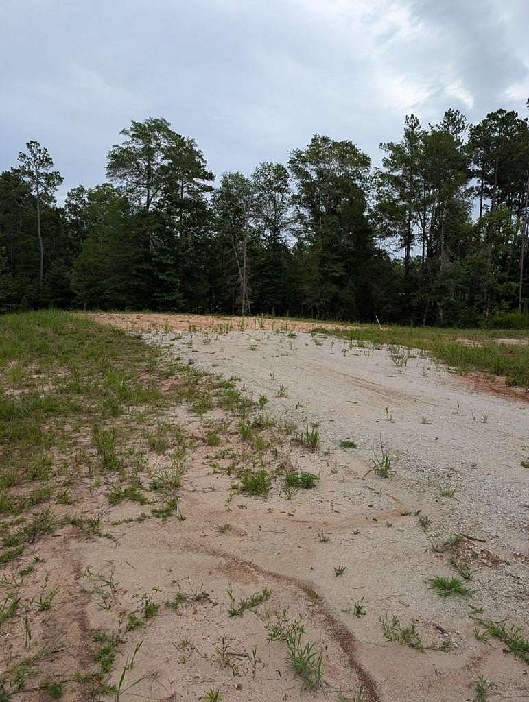 13.2 Acres of Land for Sale in Huntington, Texas