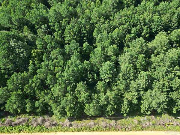 28 Acres of Recreational & Residential Land for Sale in Brewton, Alabama