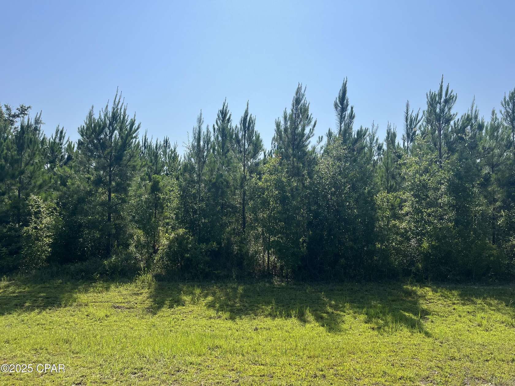 3.74 Acres of Residential Land for Sale in Kinard, Florida