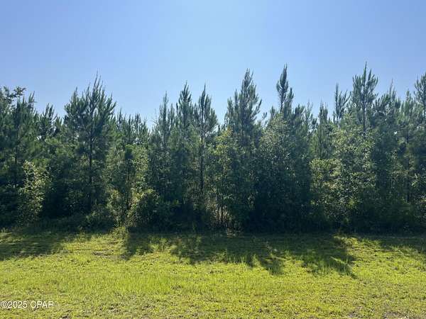 3.74 Acres of Residential Land for Sale in Kinard, Florida