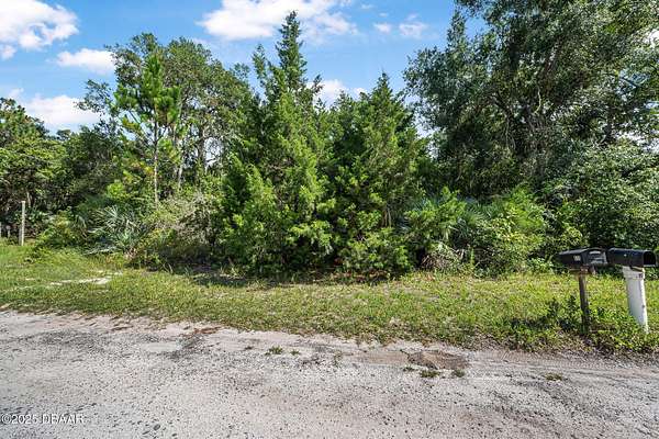 1.5 Acres of Land for Sale in Oak Hill, Florida