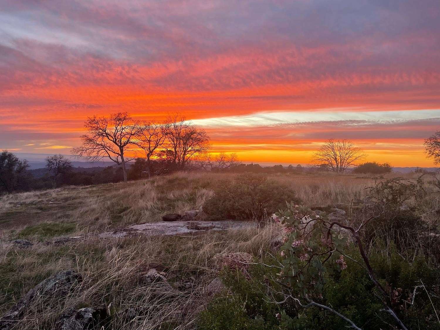 12.4 Acres of Land for Sale in Coarsegold, California