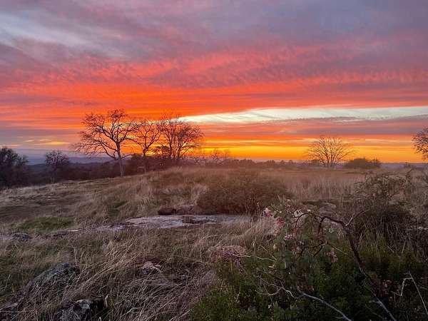 12.4 Acres of Land for Sale in Coarsegold, California