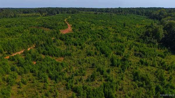 248 Acres of Recreational Land for Sale in Greenville, Alabama