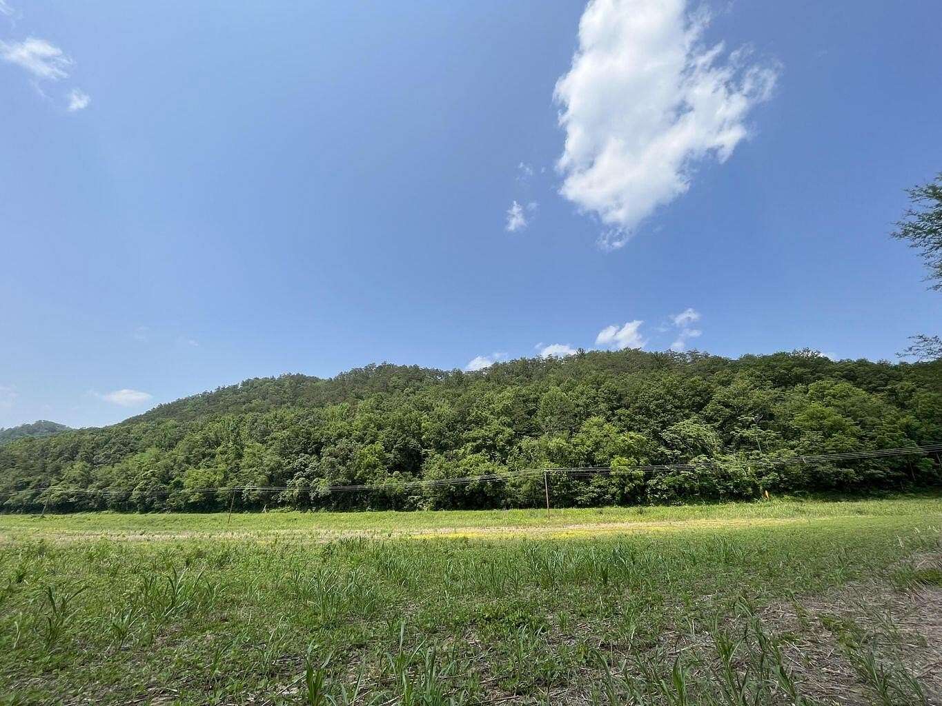 229 Acres of Recreational Land for Sale in Del Rio, Tennessee