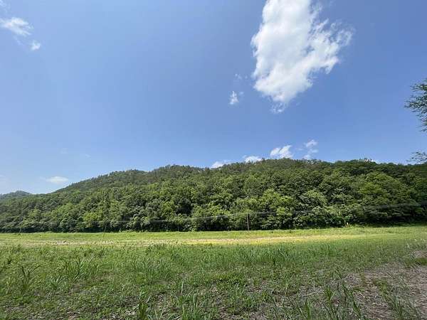229 Acres of Recreational Land for Sale in Del Rio, Tennessee