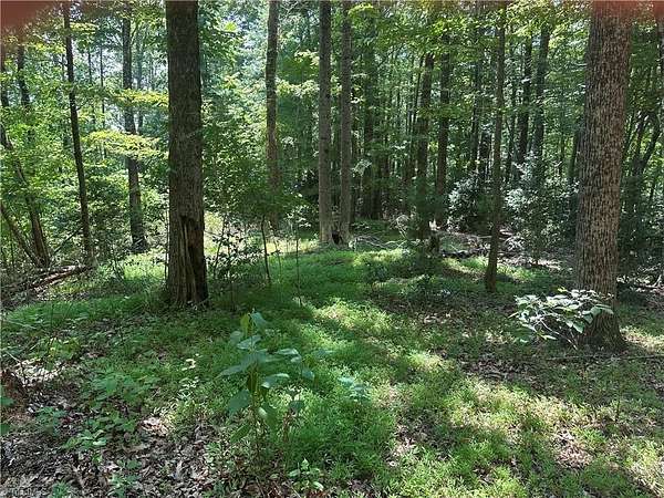 33.3 Acres of Recreational Land for Sale in Lenoir, North Carolina