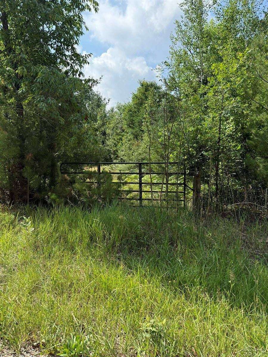 61.1 Acres of Recreational Land for Sale in Beaverton, Michigan