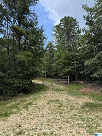 50.3 Acres of Recreational & Residential Land for Sale in West Blocton, Alabama