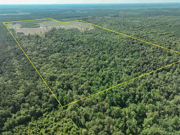 380 Acres of Recreational Land & Farm for Sale in Sparkman, Arkansas