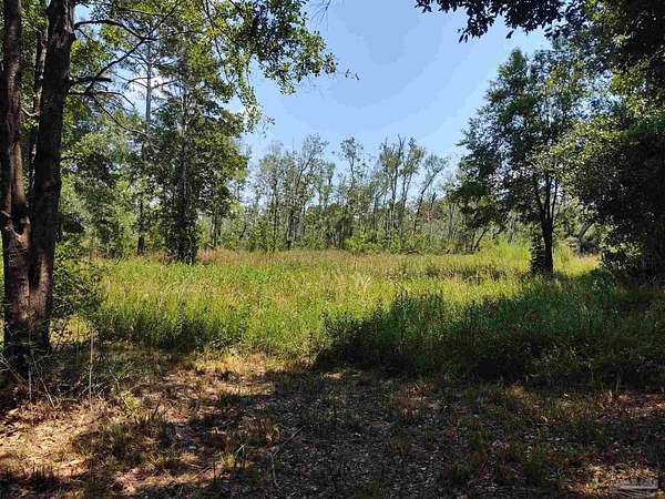 2 Acres of Residential Land for Sale in Milton, Florida