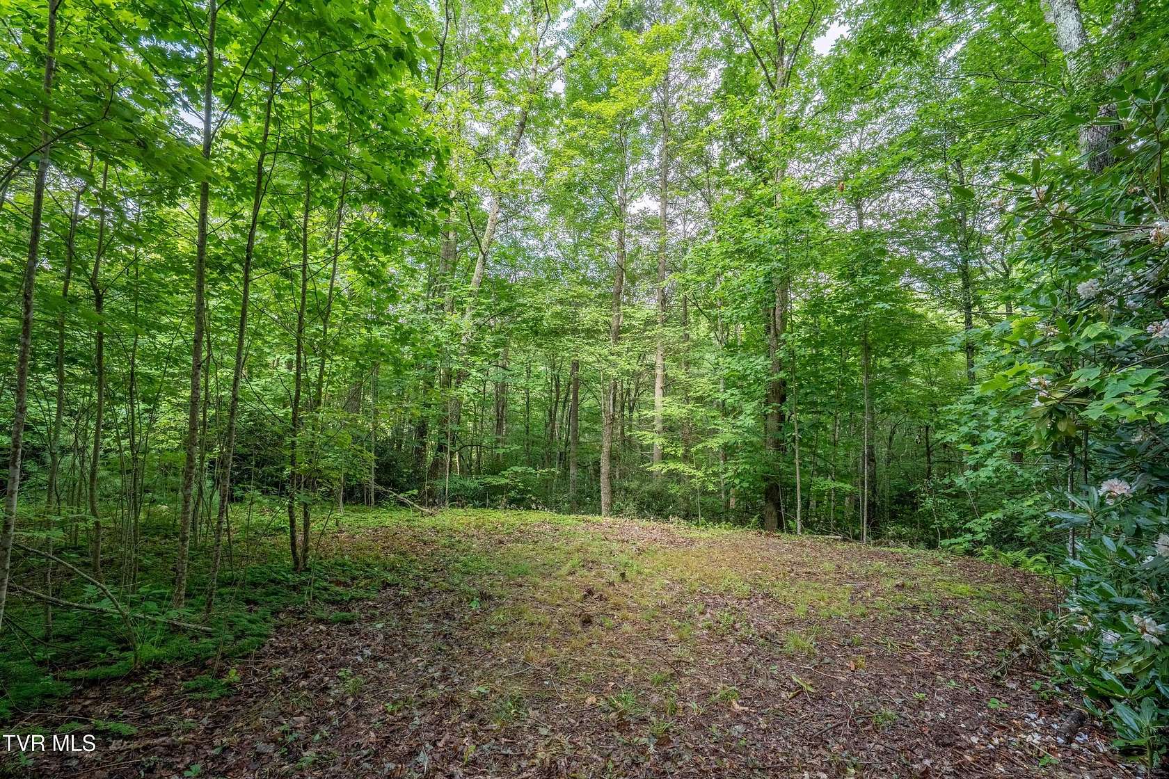 8 Acres of Residential Land for Sale in Mountain City, Tennessee